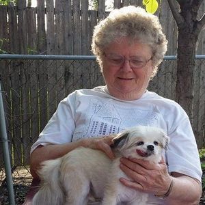 Meet your Posher, Joyce l.